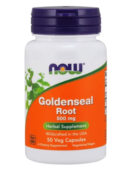 BodyNutrition | Goldenseal Root 500mg NOW Foods