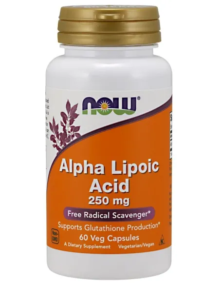 BodyNutrition | Alpha Lipoic Acid NOW Foods