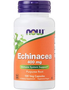 Echinacea 400mg von NOW Foods | Body Nutrition (DE)
