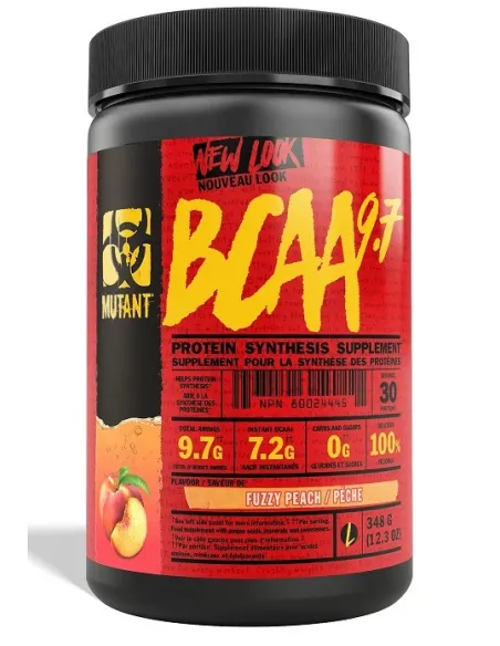 BodyNutrition | BCAA 9.