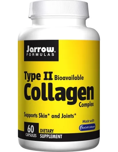 BodyNutrition | Type II Collagen Complex (60 caps) Jarrow Formulas
