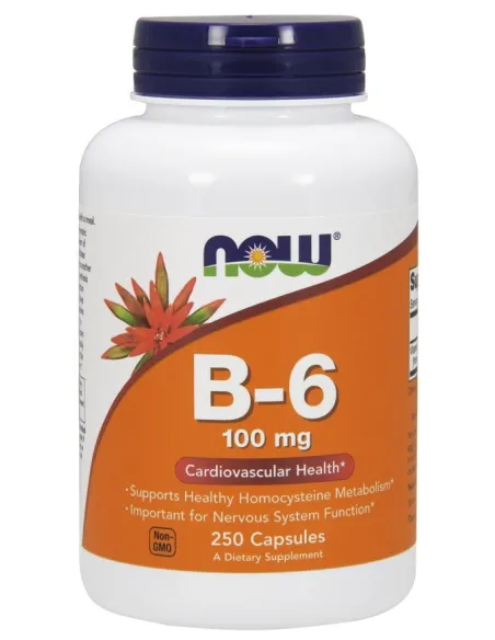 BodyNutrition | Vitamin B-6 100mg NOW Foods