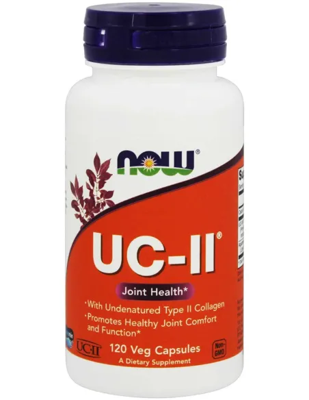 NOW Foods UC-II Undenatured Type II Collagen | Body Nutrition (ES)