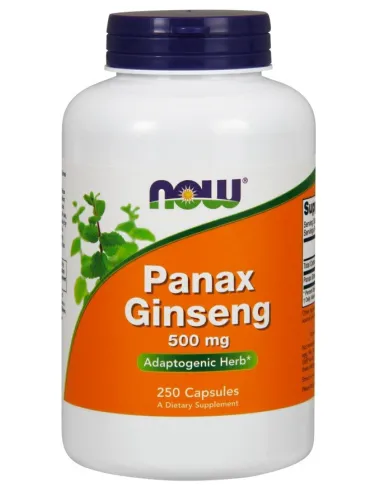 Panax Ginseng by NOW Foods | Body Nutrition (EN)