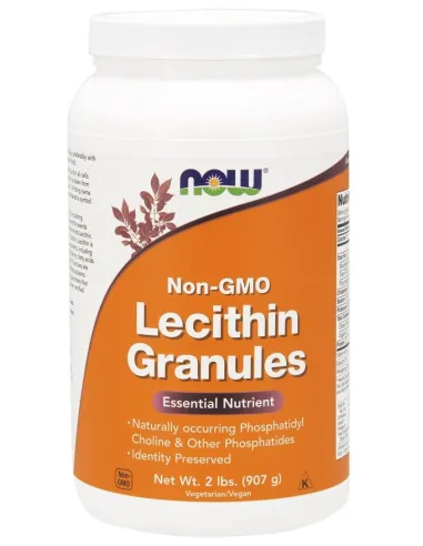 BodyNutrition | Lecithin Granules Non-GMO NOW Foods