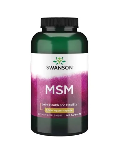 BodyNutrition | MSM Swanson