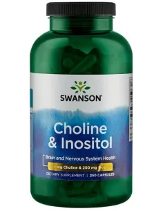 Choline & Inositol by Swanson | Body Nutrition (EN)