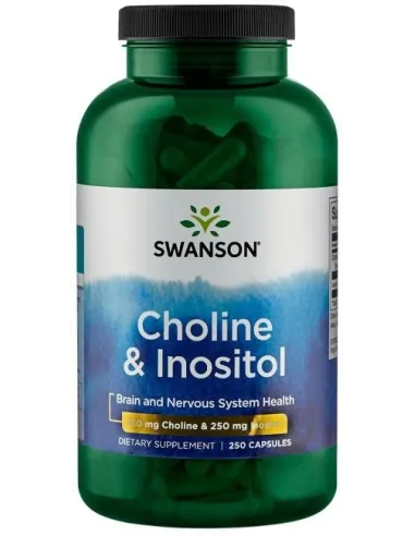 Choline & Inositol by Swanson | Body Nutrition (EN)