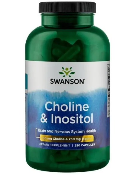 Choline & Inositol by Swanson | Body Nutrition (EN)