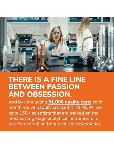 Acai 500mg por NOW Foods