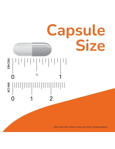 Acetyl-L-Carnitine (100 vcaps) de NOW Foods | Body Nutrition (FR)