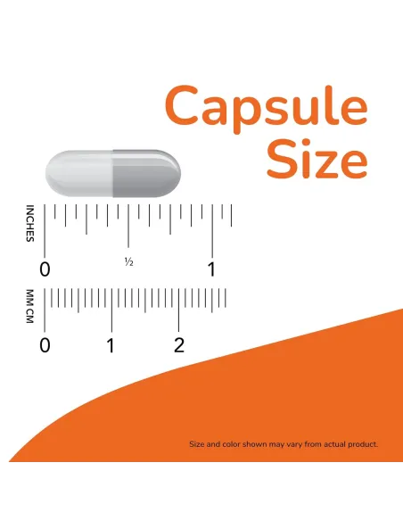 Acetyl-L-Carnitine (100 vcaps) de NOW Foods | Body Nutrition (FR)