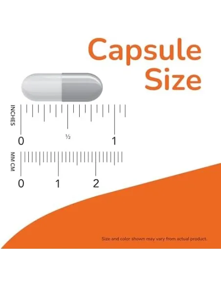 BodyNutrition | ADAM Multi-Vitamin for Men (90 vcaps) NOW Foods