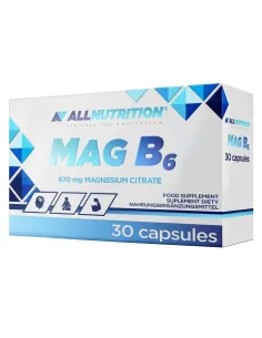 MAG B6