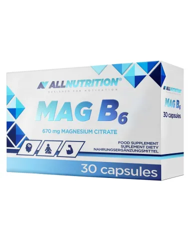 MAG B6