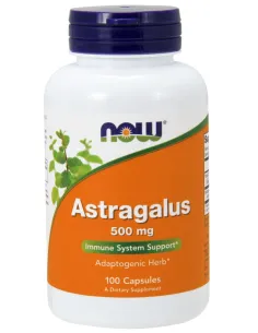 Astragalus