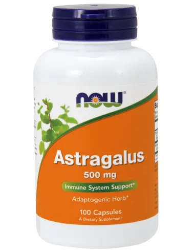 Astragalus