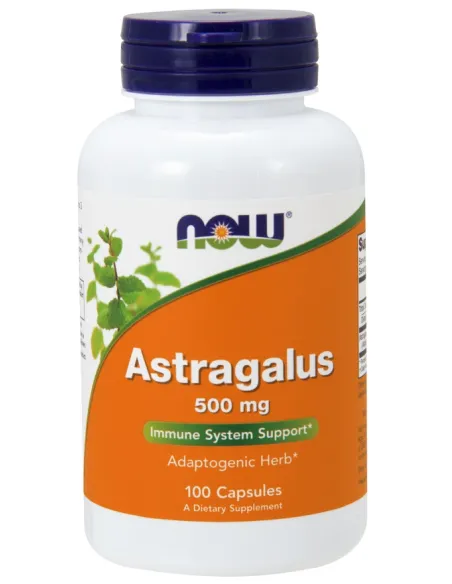 Astragalus