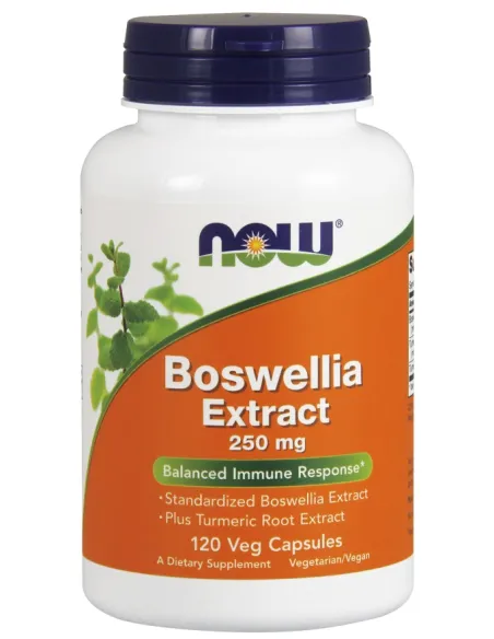 Boswellia Extract Plus Turmeric Root Extract