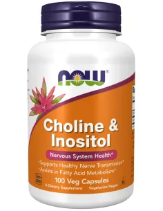 Choline and Inositol