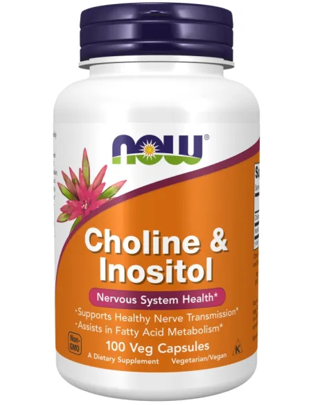 Choline and Inositol