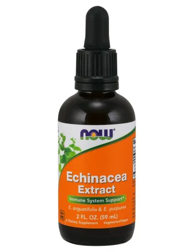 Echinacea Extract