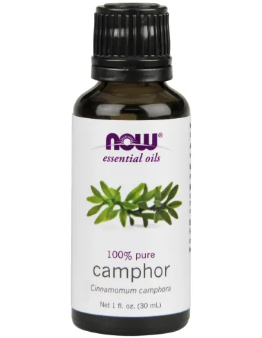Camphor Essential Oil