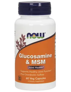 Glucosamine & MSM