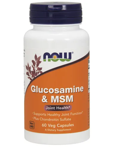Glucosamine & MSM