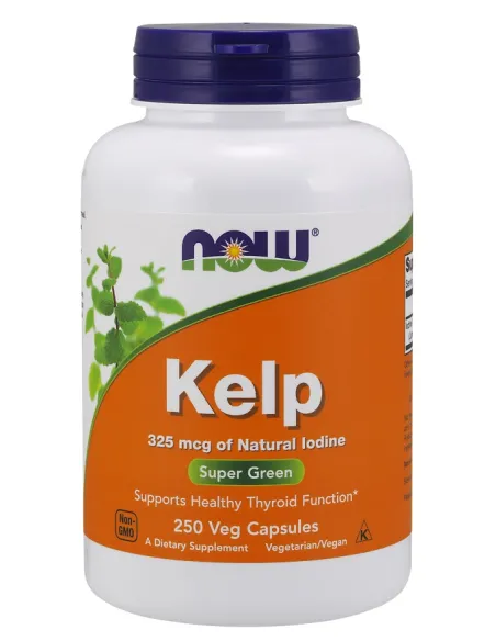 Kelp