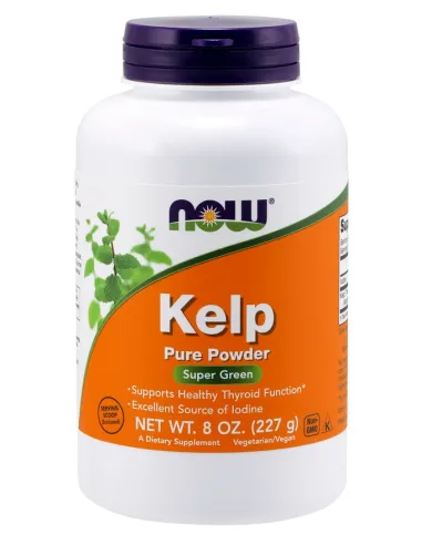 Kelp