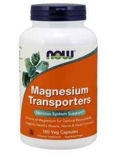 Magnesium Transporters