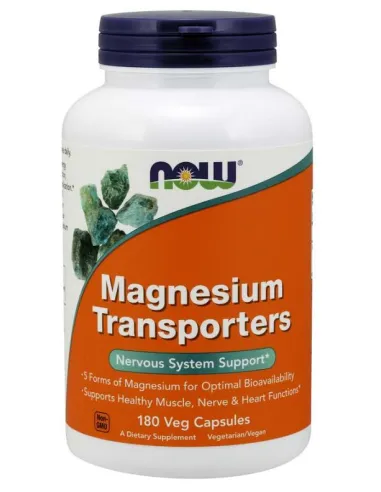 Magnesium Transporters