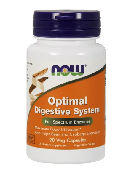 Optimal Digestive System