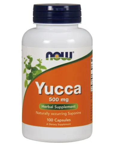 Yucca