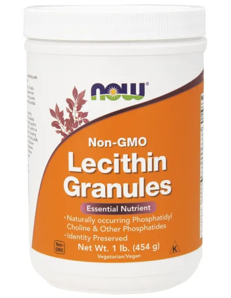 BodyNutrition | Lecithin Granules Non-GMO NOW Foods