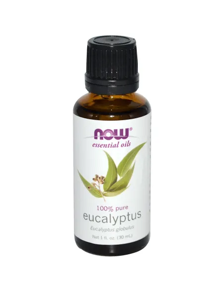 BodyNutrition | Olio Essenziale Eucalipto NOW Foods