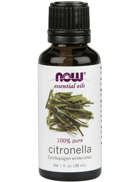 Essential Oil Citronella by NOW Foods | Body Nutrition (EN)