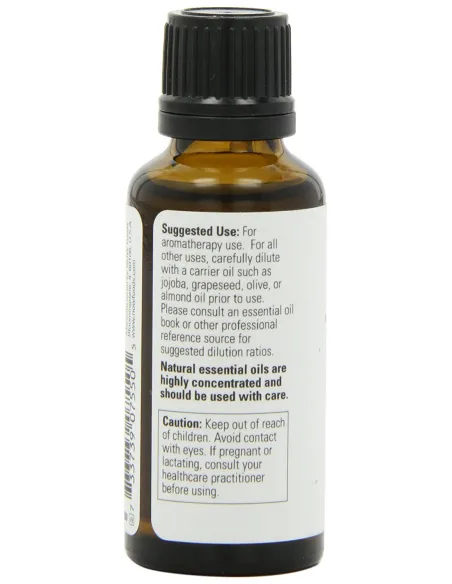 Essential Oil Ginger von NOW Foods | Body Nutrition (DE)