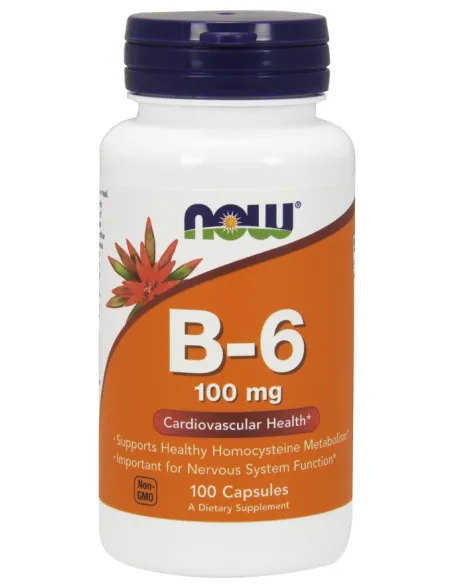 BodyNutrition | Vitamin B-6 100mg NOW Foods