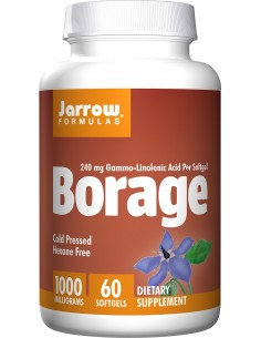 Jarrow Formulas Borage GLA-240 - BodyNutrition