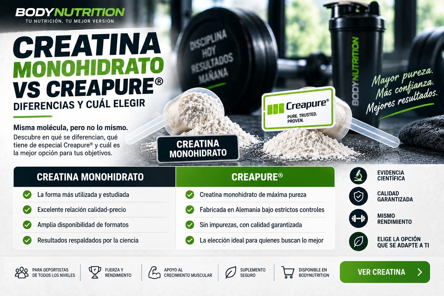 Creatina monohidrato vs Creapure®: diferencias y cuál elegir