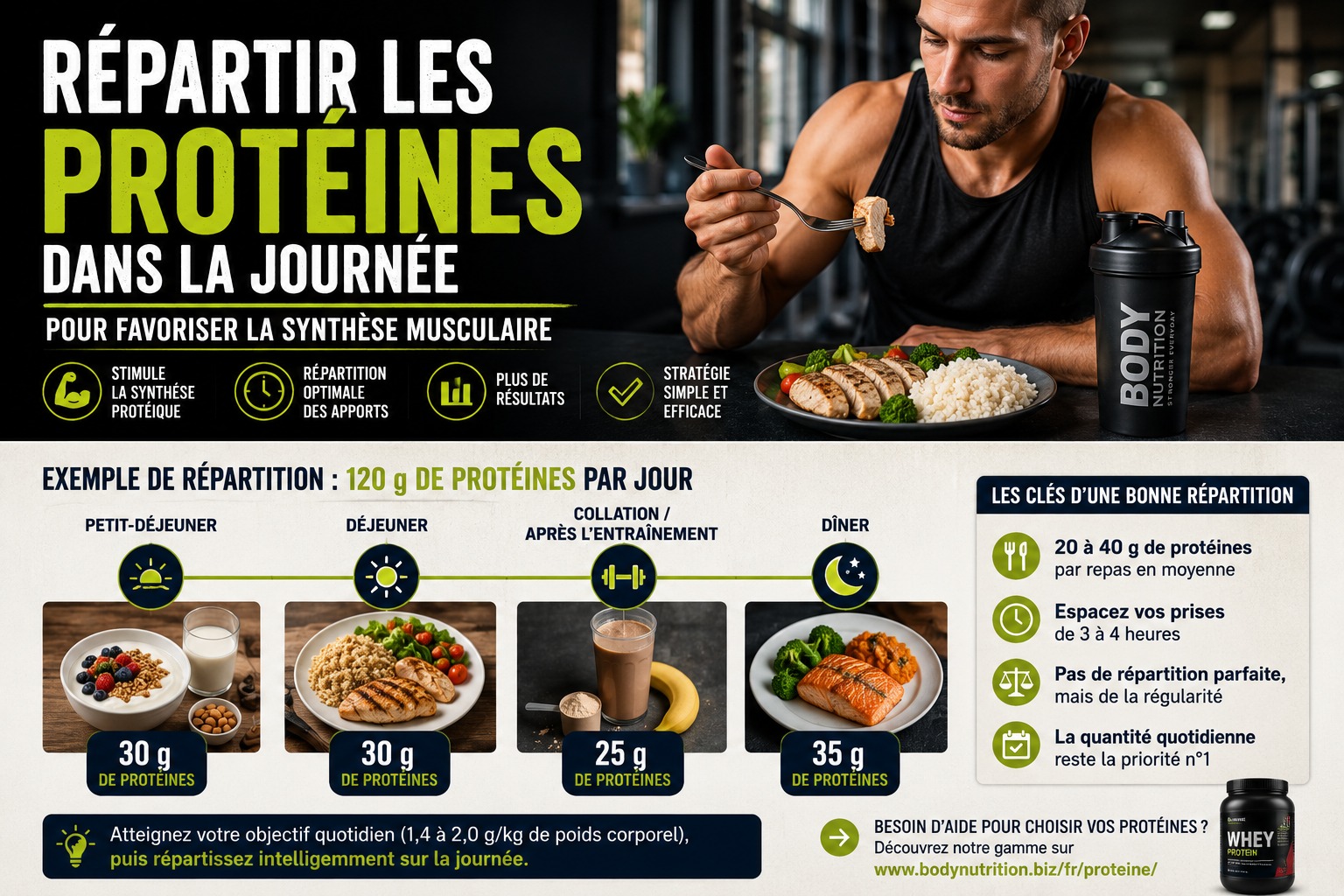 Répartir les protéines dans la journée pour favoriser la synthèse musculaire