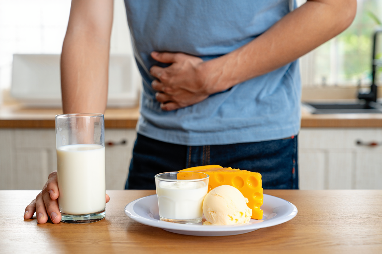 Représentation du confort digestif avec whey isolat et concentrée