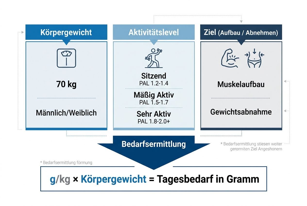 Proteinmenge pro kg Körpergewicht: Infografik zeigt Gewicht 70 kg, Aktivitätslevel und Ziele (Muskelaufbau, Gewichtsabnahme) mit Bedarfsermittlung: g/kg × Körpergewicht = Tagesbedarf in Gramm.