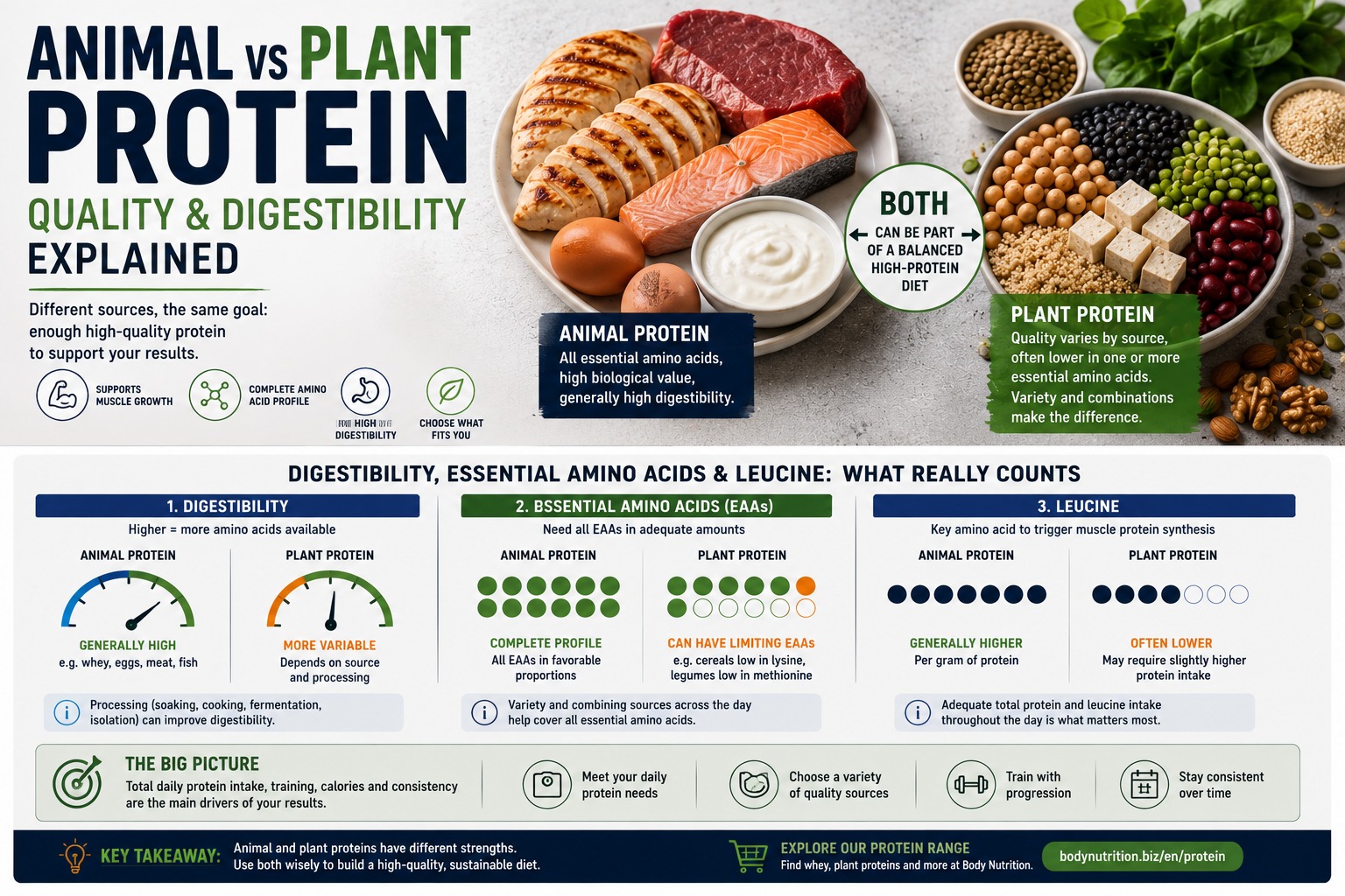 Protein quality and digestibility: animal vs plant sources explained