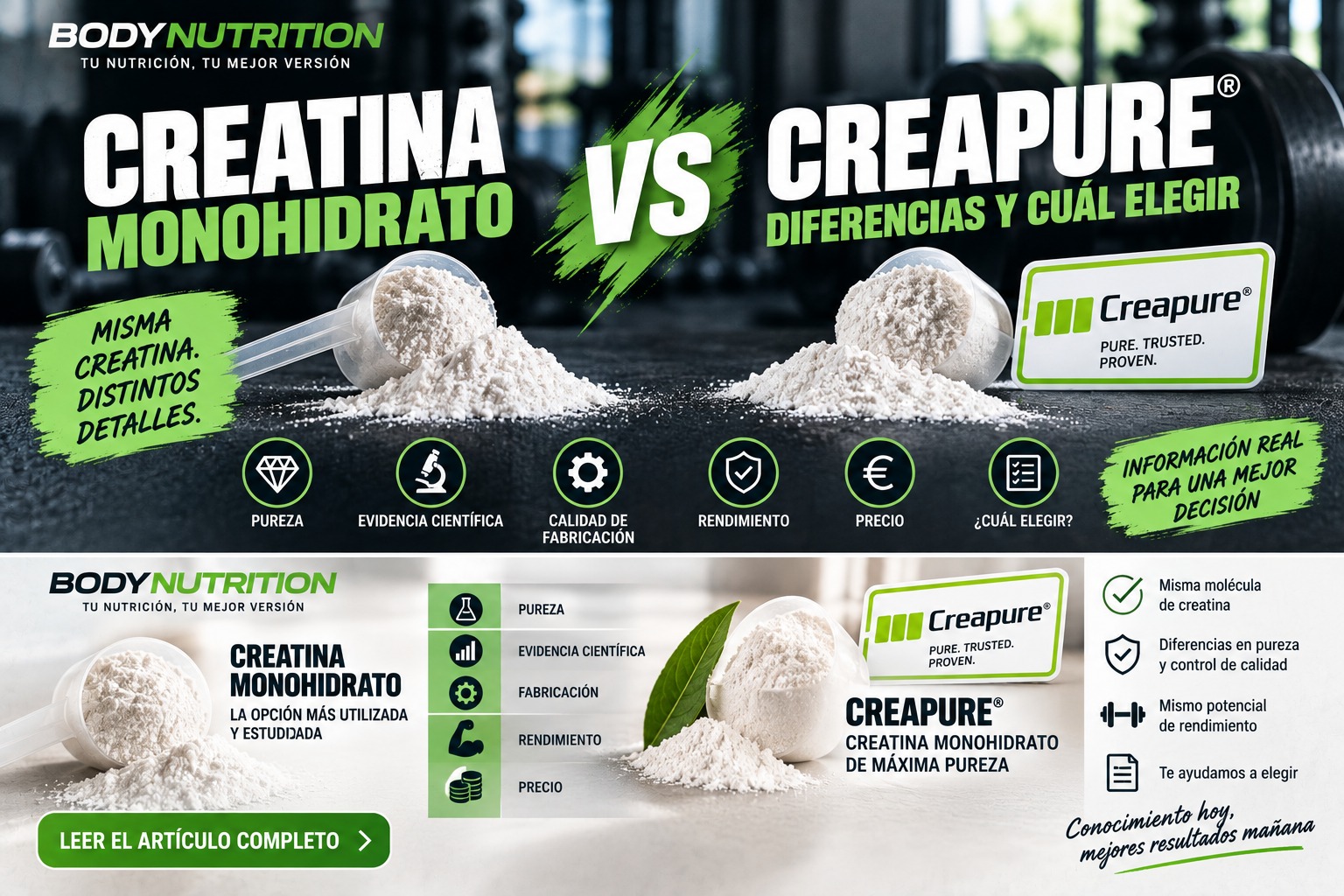 Creatina monohidrato vs Creapure®: diferencias y cuál elegir
