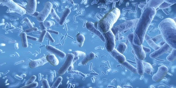 Cosa dovresti sapere sui probiotici